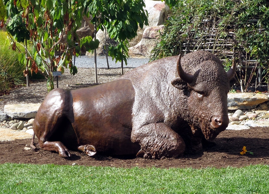 American Bison sculpture near Prairie Patch in childrens garden